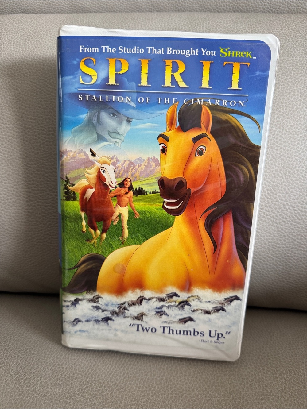 Spirit Orange and Black Horse Wall Art by Spirit